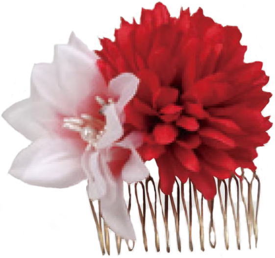 ��ԃR�[���@������