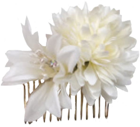 ��ԃR�[���@������