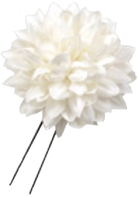 ������@�s���|���}��