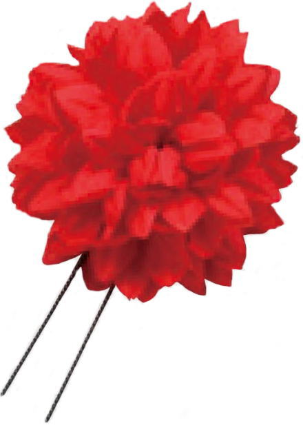 ������@�s���|���}��