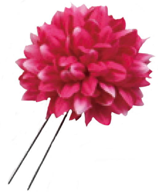 ������@�s���|���}��