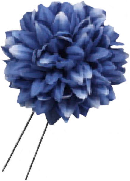 ������@�s���|���}��