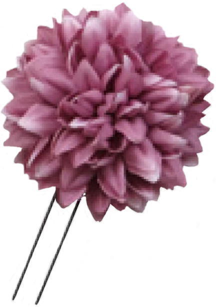 ������@�s���|���}��